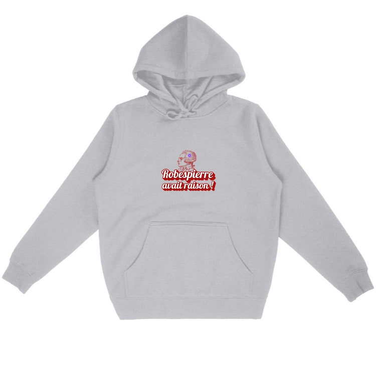 Sweat à capuche 85 % Coton Bio Robespierre avait raison ! - face_gris